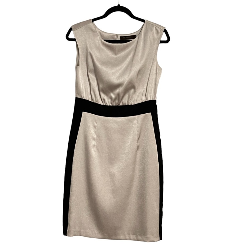 The Limited silver and black sheath dress ✨